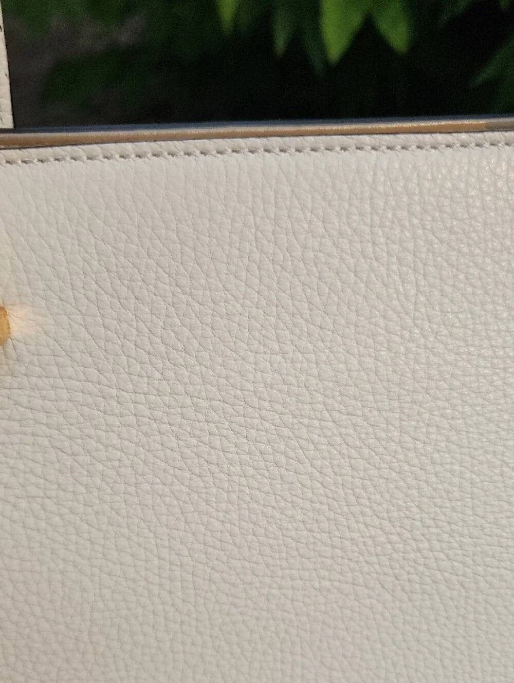 Giancarlo Petriglia Script-Detail Tote Bag Made In Italy